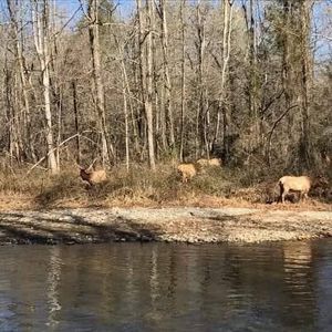 Meet your Posher, Tommy